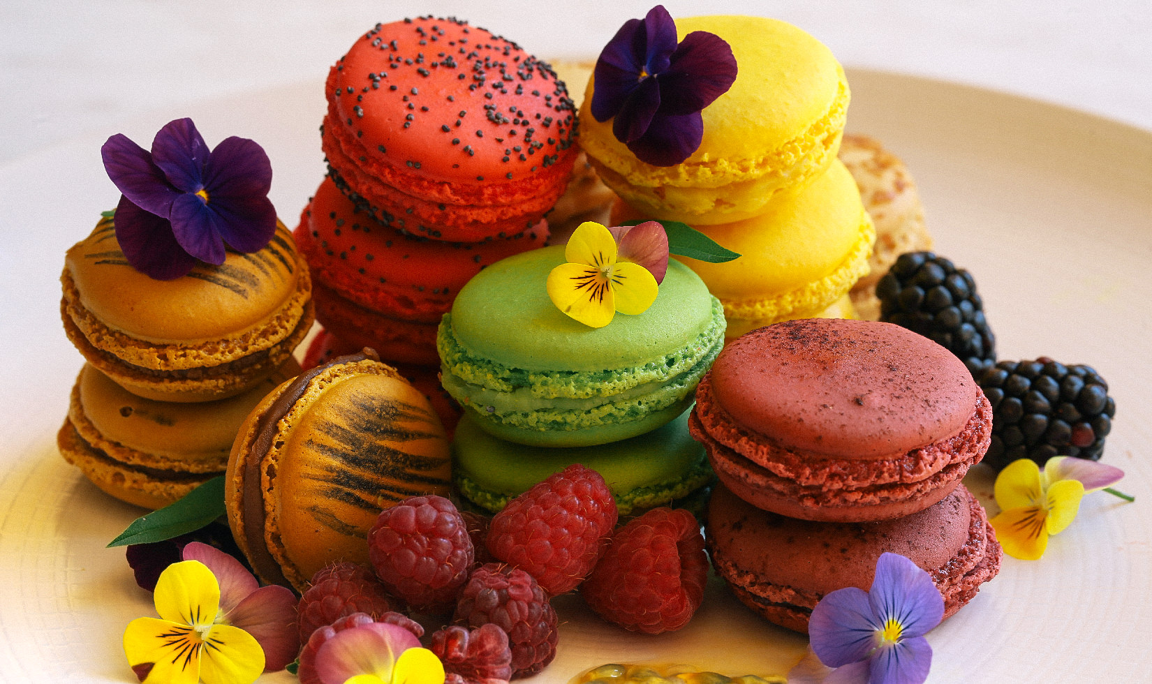 How to Make French Macarons Guide 1 Different colors and designs of macarons with flowers, culinary arts, ready to eat.