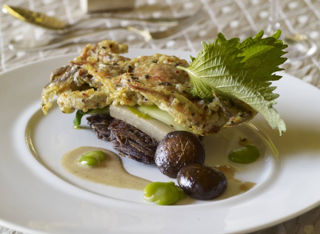 chef's delicious delicacy culinary arts served in a plate