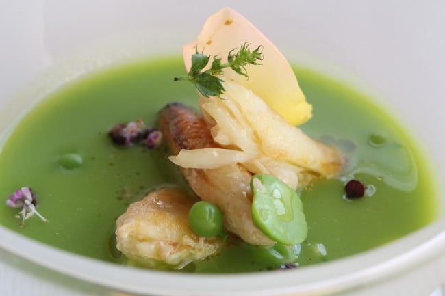 chef's delicious delicacy culinary arts served in a plate
