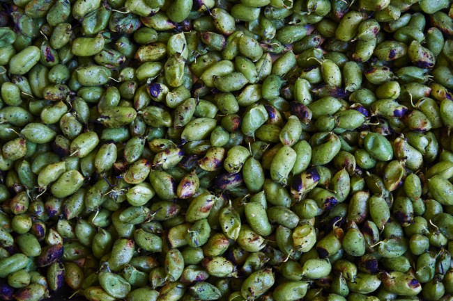 Jordan Winery, garbanzo beans, chick peas, grilled garbanzo beans, chick peas, grilled