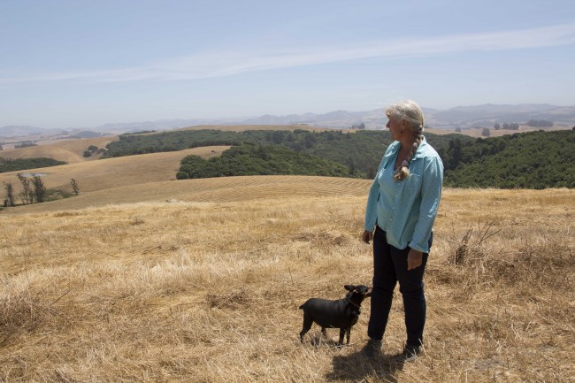 a woman watching the long fields of cow farm