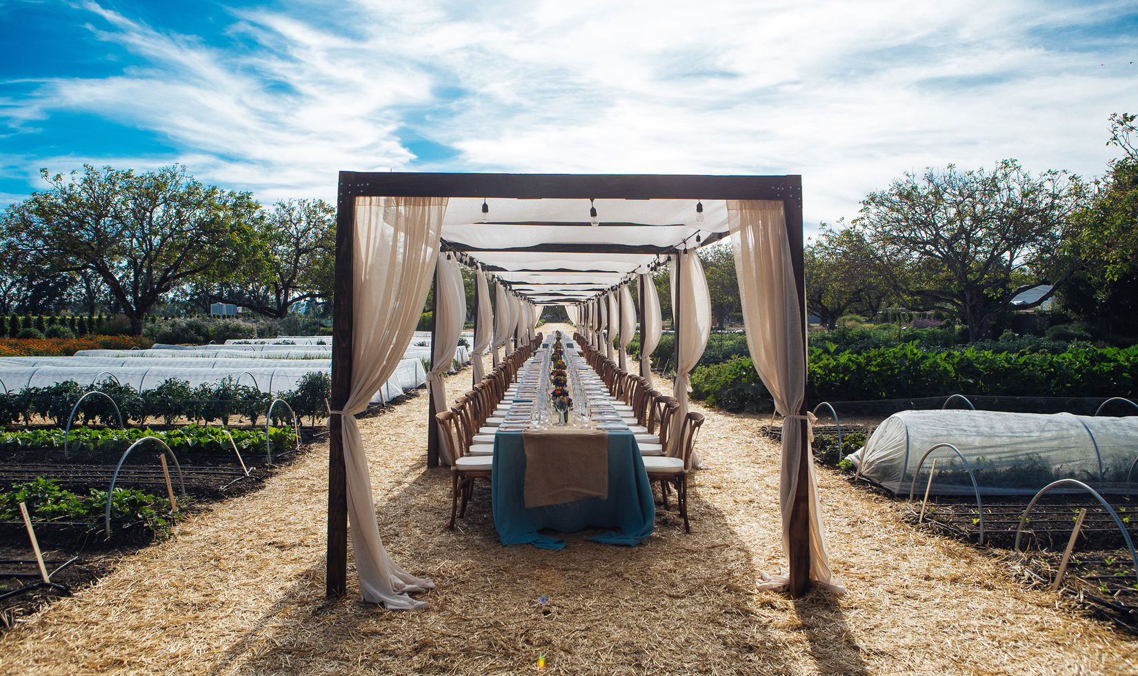 a long table for a sonoma winery with restaurant outdoor