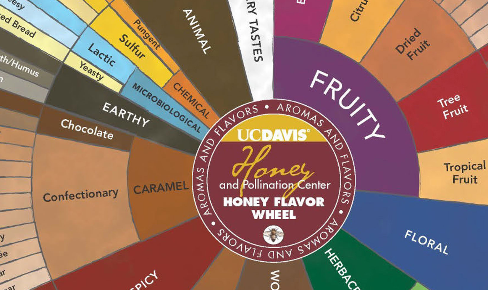 Becoming a Flow Hive Beekeeper Hone Flavor Wheel Chart as featured in Wine Country Table