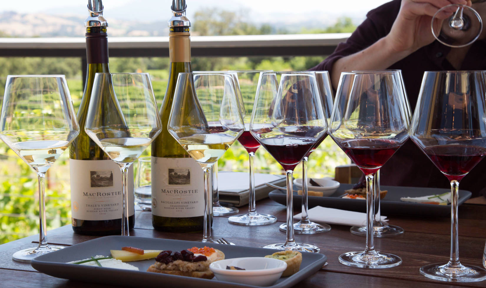 Best Wineries in Healdsburg 2 bottle of wines with wine glasses and a food pairing in the table with 1 person