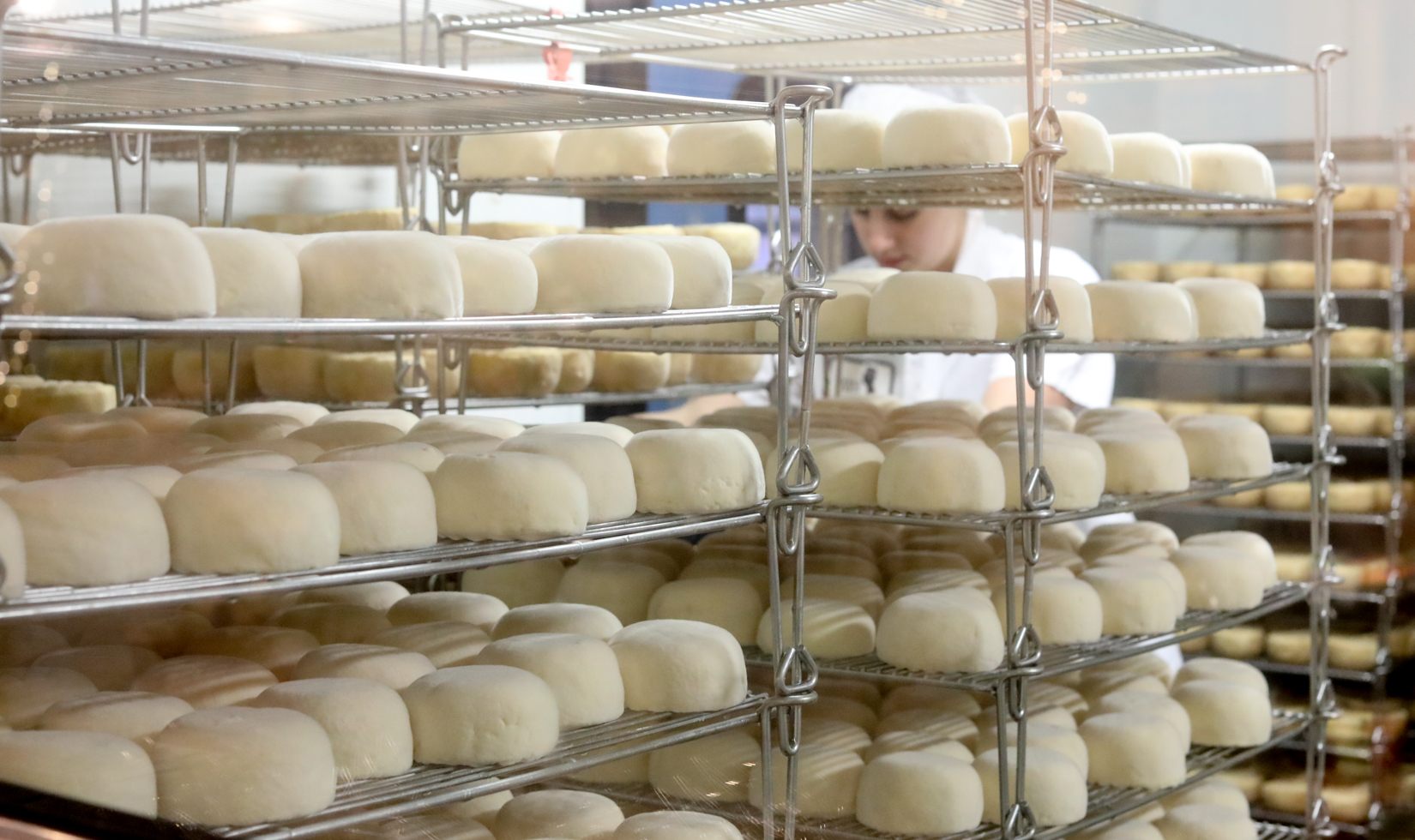 Cheese and Cabernet Sauvignon Pairing a person making lot of cheese and putting them together in a tray
