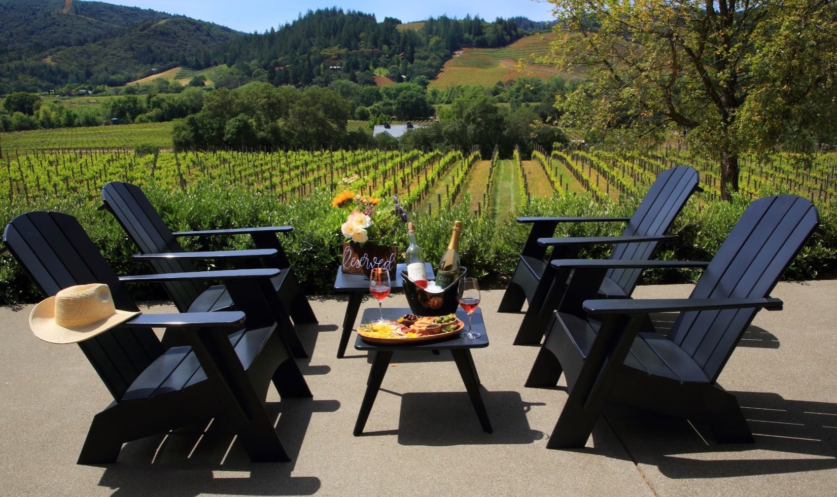 Wineries with a View in Healdsburg, Sonoma County Adirondack chairs on terrace by vineyard with wine on table in ice buckets and chacuterie board