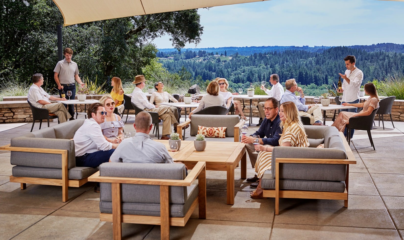 Wineries with a View in Healdsburg, Sonoma County