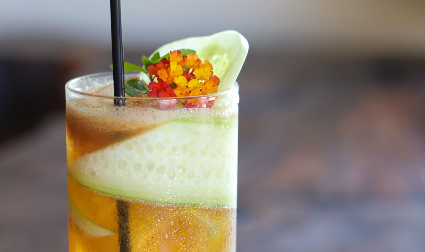"Pimm's Cup" cocktail with edible flower and cucumber from Geyserville Gun Club