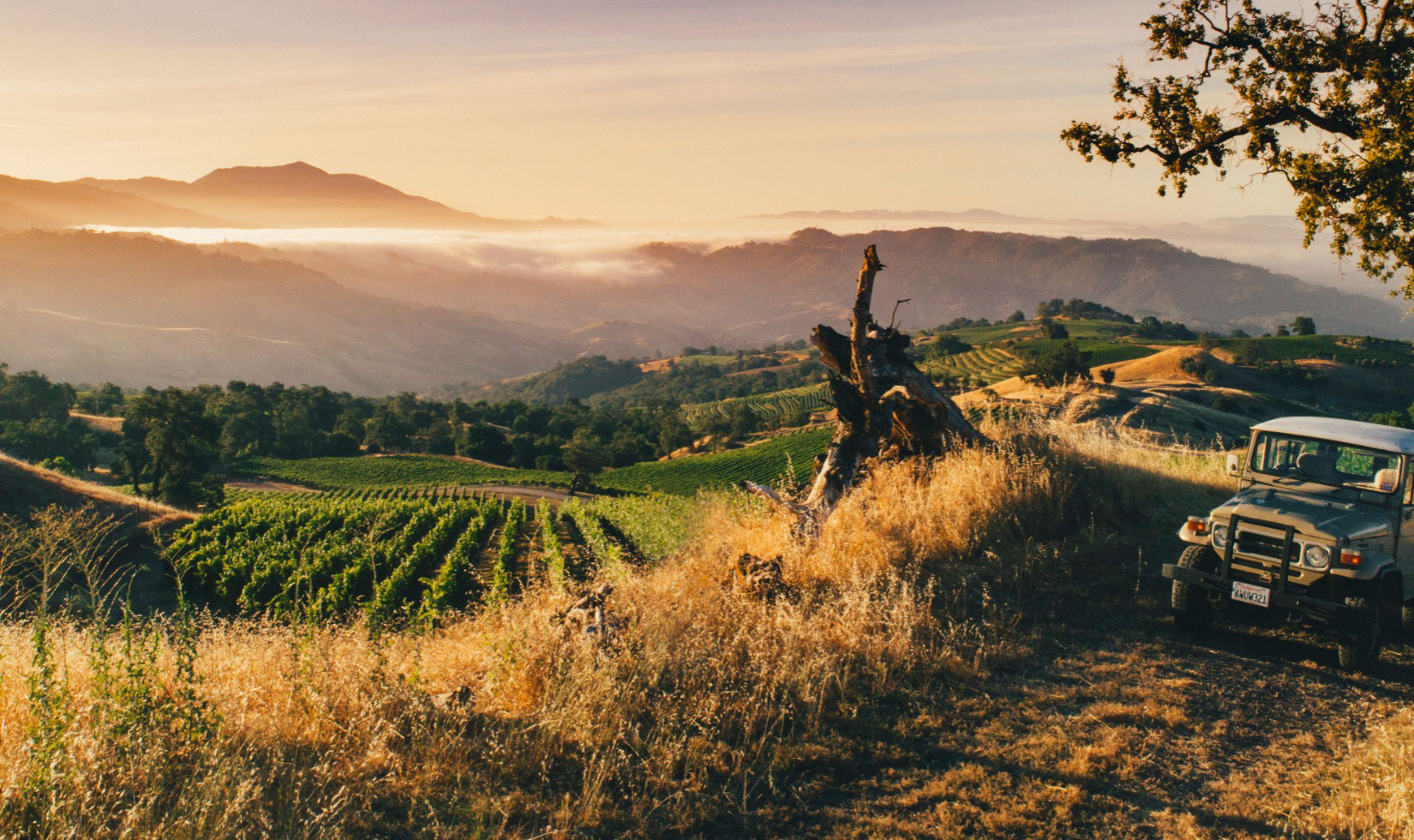 Wineries with a View in Healdsburg, Sonoma County view of alexander vineyards with sun setting in distance and jeep 4x4 vehicle on trail