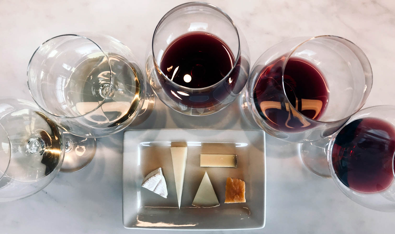 Cheese Tasting Experience Gary Farrell wine and cheese tasting