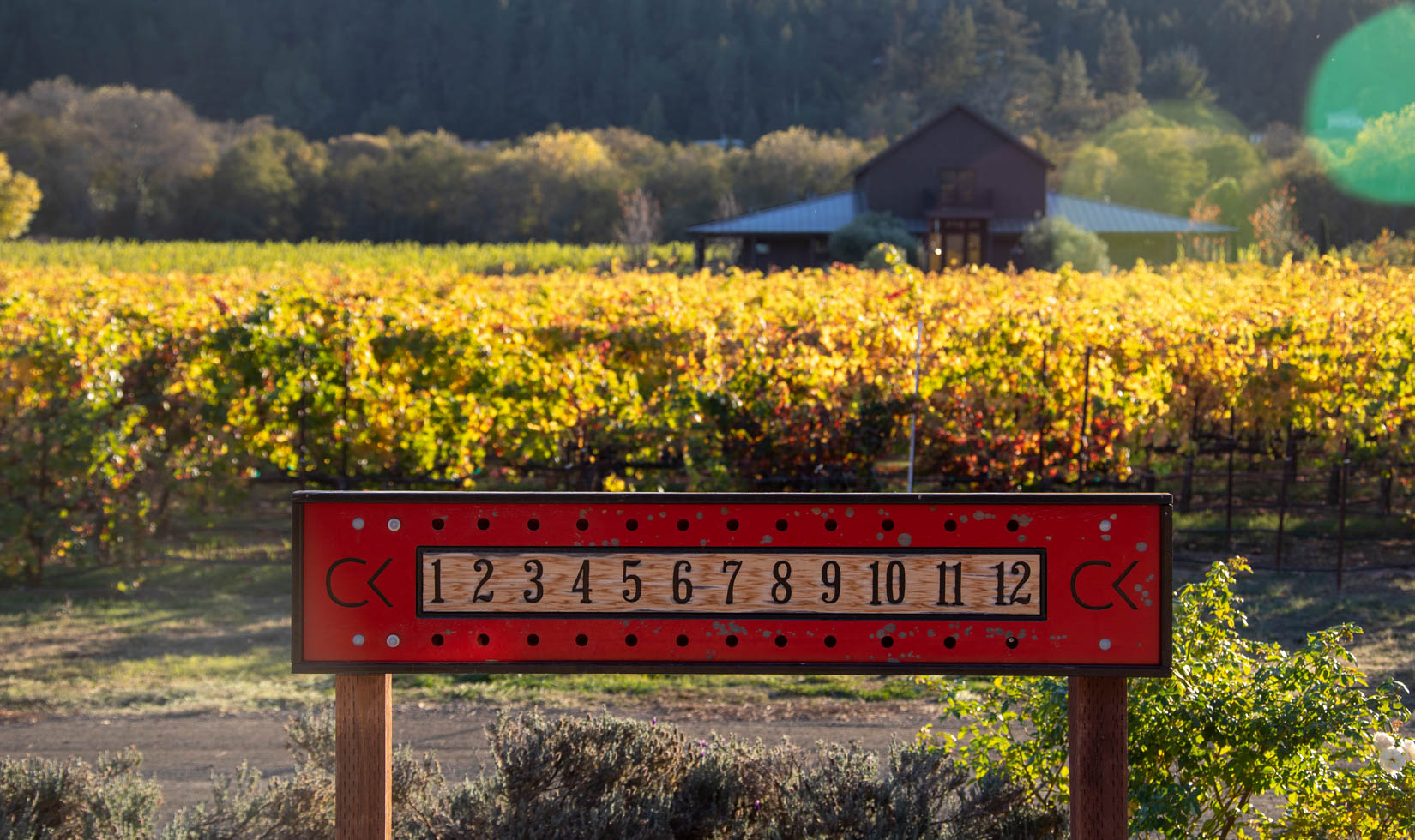 Outdoor Wine Tastings Comstock Wines fall foliage