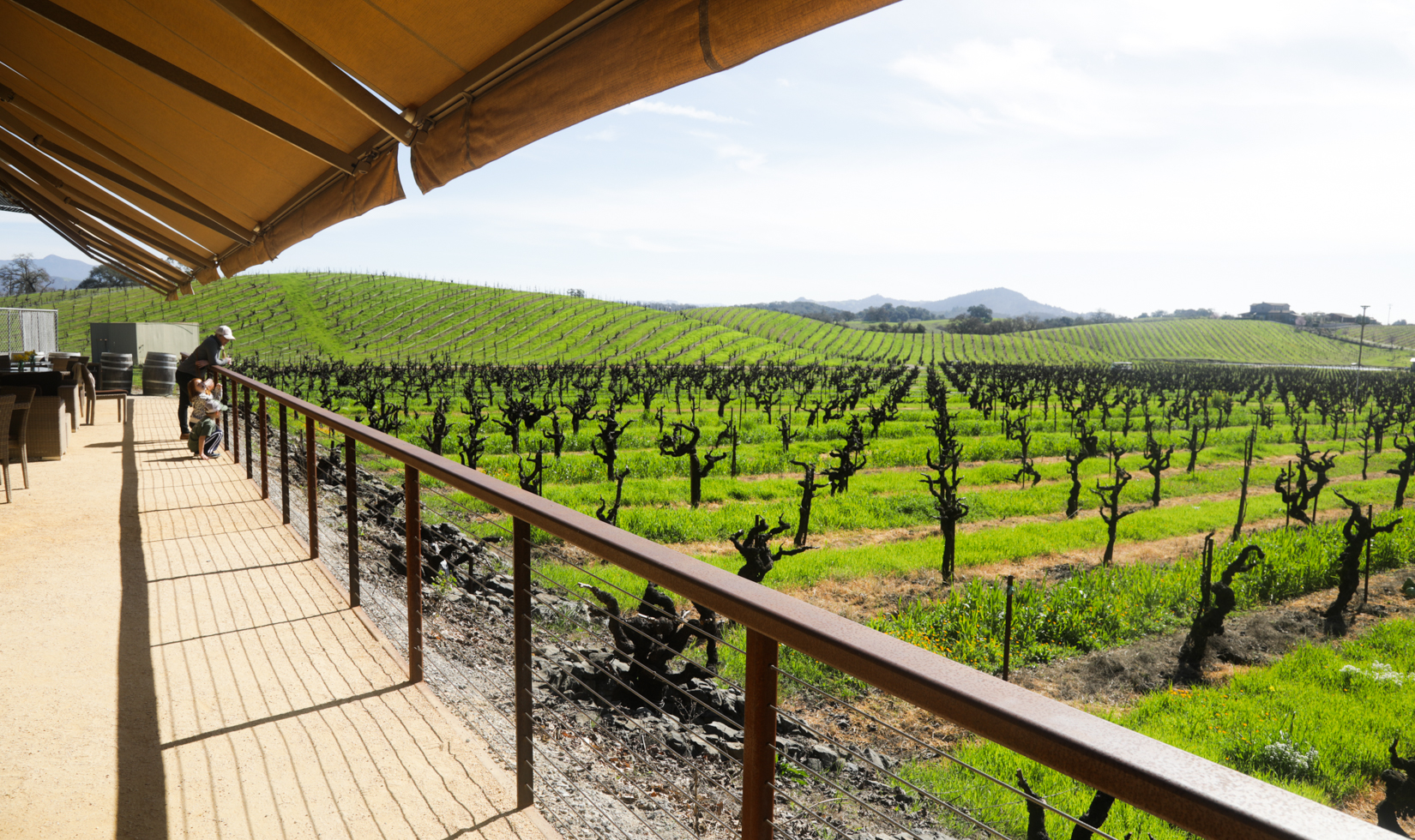 Best Wineries in Healdsburg ridge vineyards outdoor terrace in healdsburg