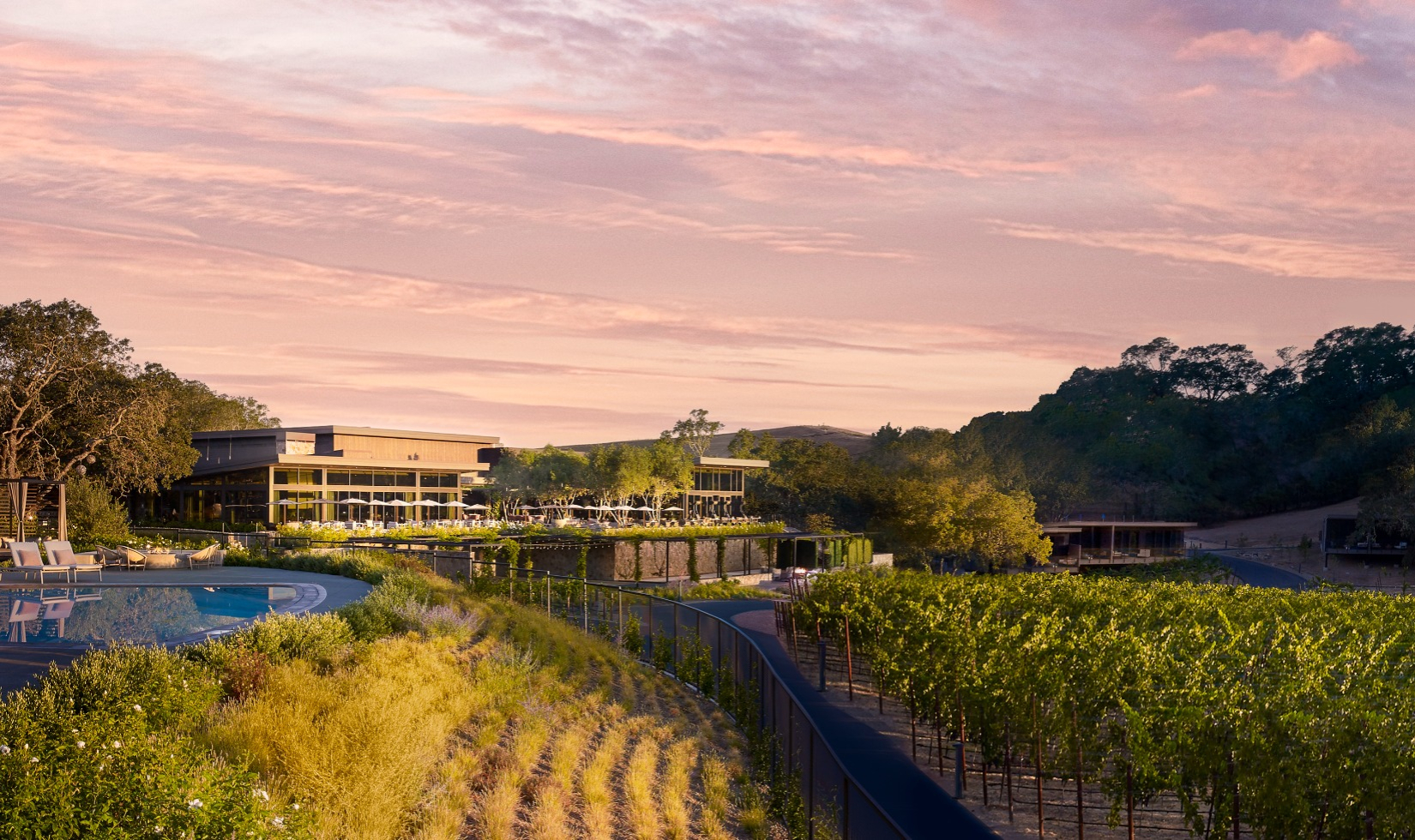 Scenic vineyard estate with modern architecture at sunset.